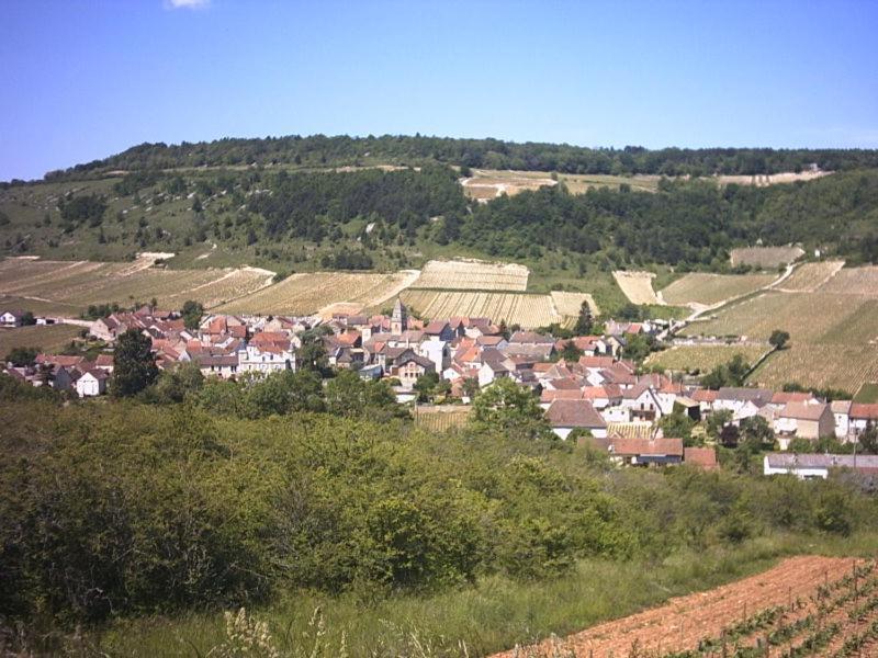 Le Lodge Du Parc Beaune  Kültér fotó